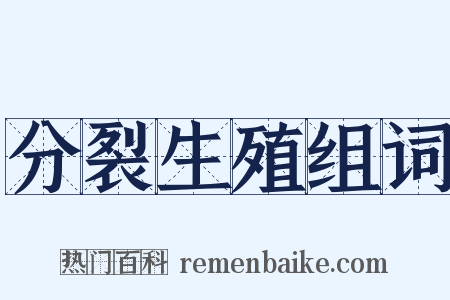 分裂生殖组词是什么意思的图片